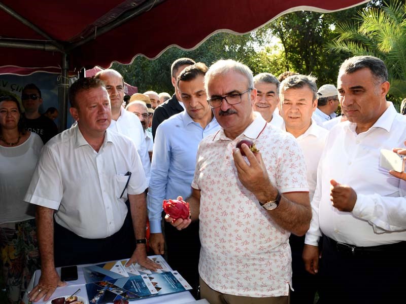 Antalya Türkiye’nin Kadim Bir Tarım Şehridir 05