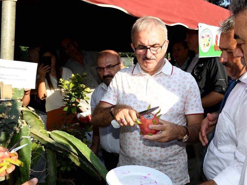 Antalya Türkiye’nin Kadim Bir Tarım Şehridir 09