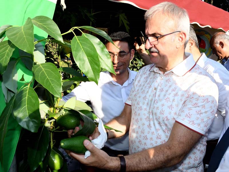 Antalya Türkiye’nin Kadim Bir Tarım Şehridir ana