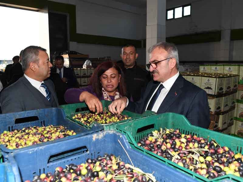 Türkiye’nin En Büyük Muz Üreticisi Olacağız 06