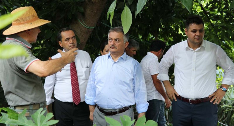 Gazipaşa Tropikal Meyve Üretiminde Çığır Açacak 03