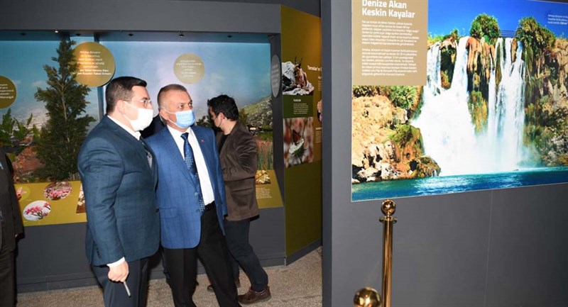Dokumapark taki Yeni Projelerle İlgili İncelemeler 01