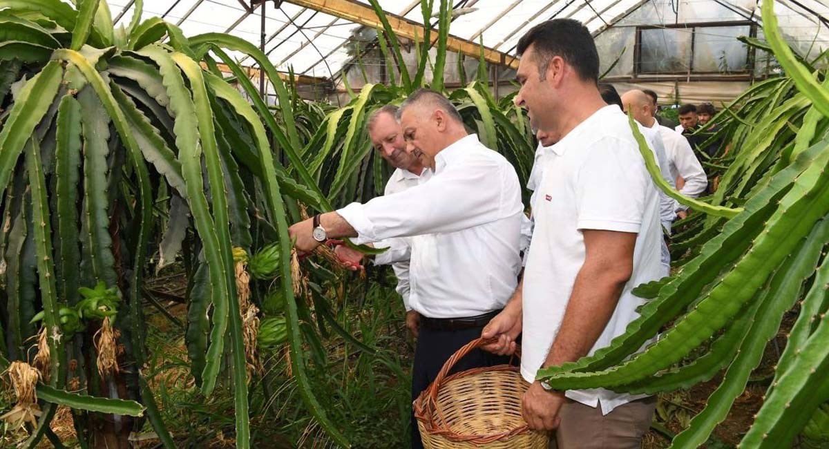 Bu Şehirde En Çok Tarım Ve Hayvancılıkla Uğraşanların Kazanmasını İsterim 10