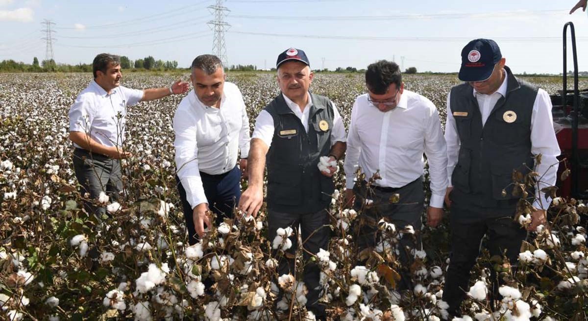 Antalyada Pamukta İlk Hasat Vali Yazıcı dan 01