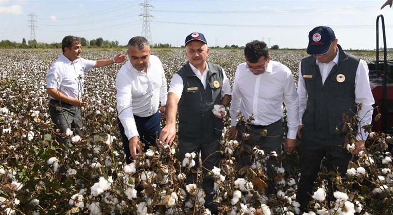 Antalyada Pamukta İlk Hasat Vali Yazıcı dan 01