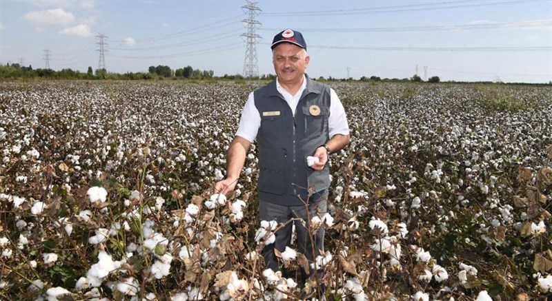 Antalyada Pamukta İlk Hasat Vali Yazıcı dan 02