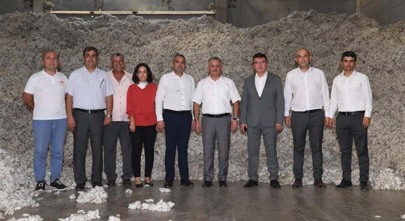 Antalyada Pamukta İlk Hasat Vali Yazıcı dan 06