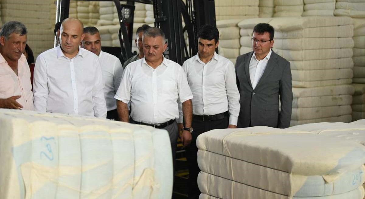 Antalyada Pamukta İlk Hasat Vali Yazıcı dan 08