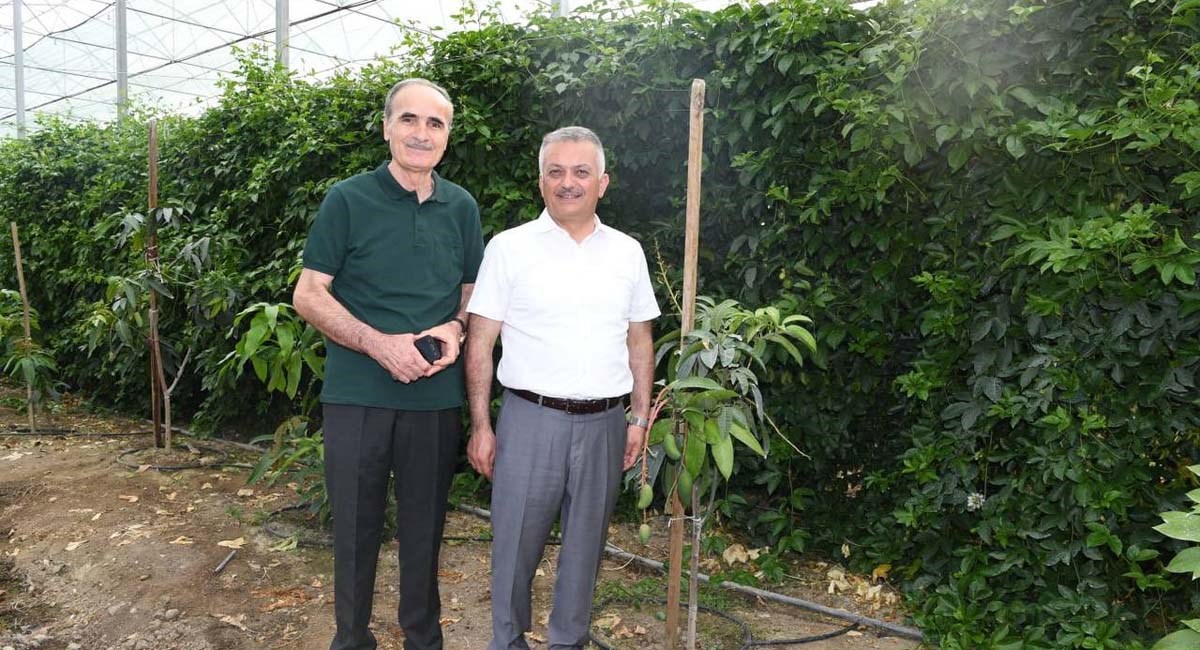 Tarımdaki Liderliğimizi Tropik Meyvelerle Daha Da İleriye Taşıyacağız 04