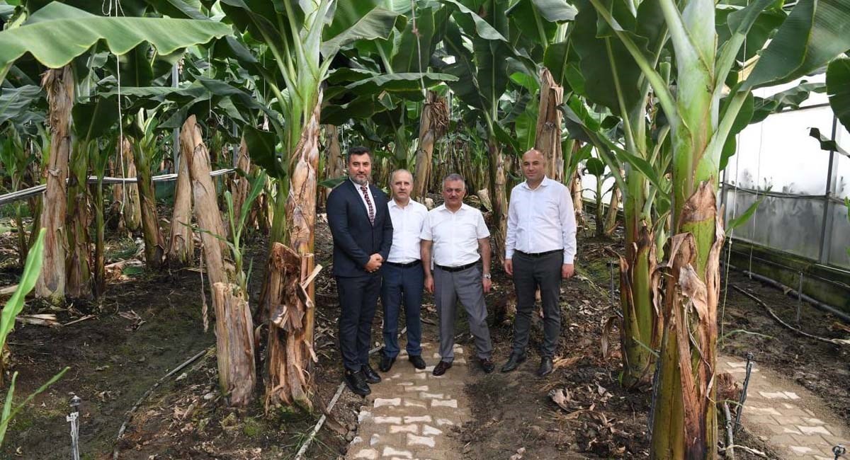 Tarımdaki Liderliğimizi Tropik Meyvelerle Daha Da İleriye Taşıyacağız 05