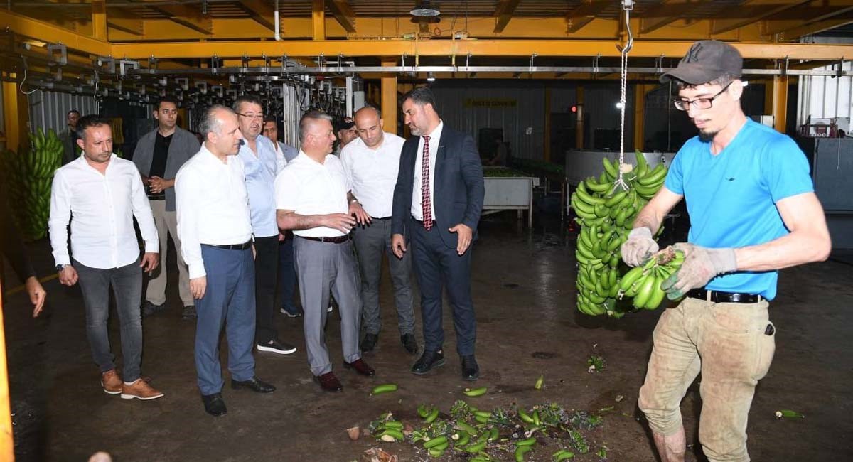 Tarımdaki Liderliğimizi Tropik Meyvelerle Daha Da İleriye Taşıyacağız 07