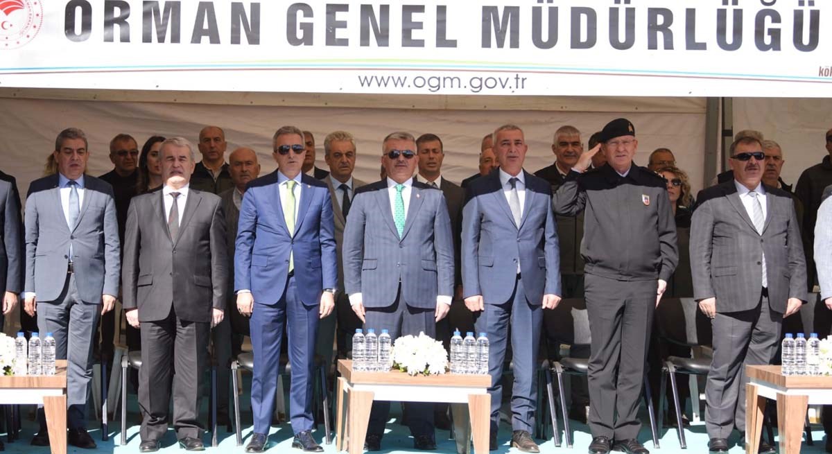 Bugün Bir Orman Sahibi Olduk 01