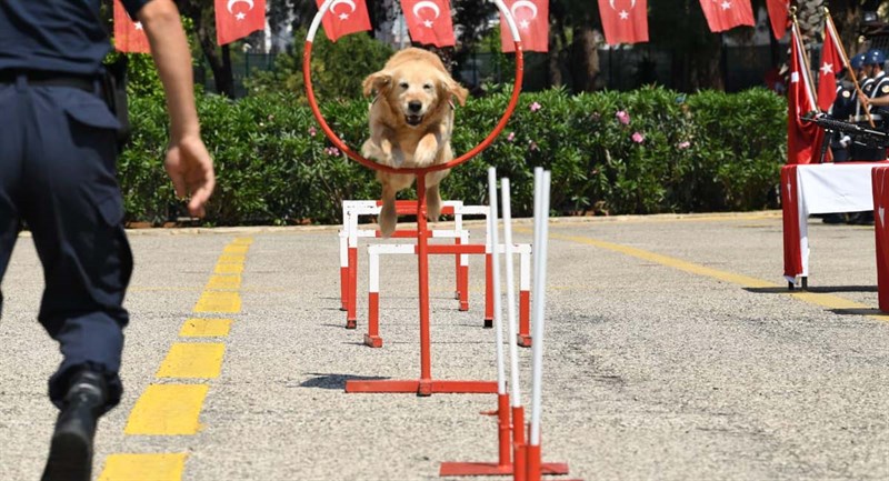 Engelli Haftası Münasebetiyle Temsili Askerlik Ve Yemin Töreni 04
