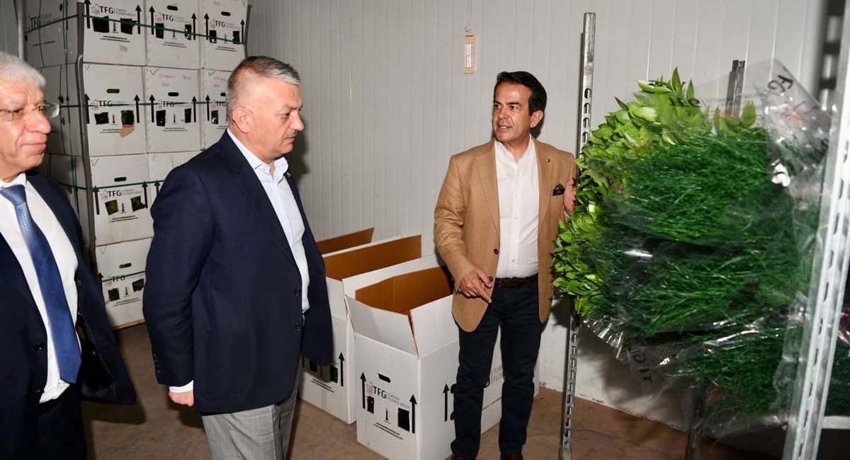 Antalya Kesme Çiçek Üretiminde Türkiye Lideri 02