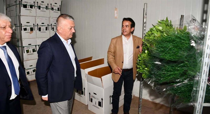 Antalya Kesme Çiçek Üretiminde Türkiye Lideri 02