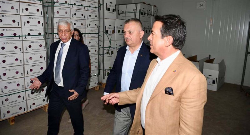 Antalya Kesme Çiçek Üretiminde Türkiye Lideri 03