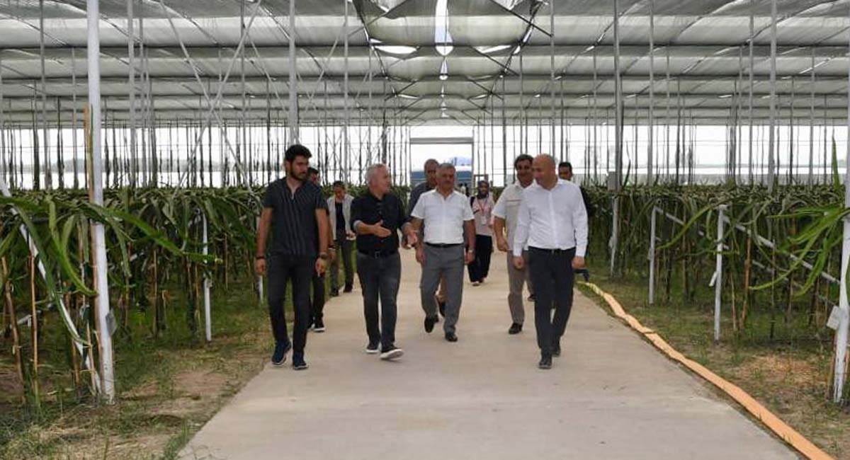 Tarımda Çeşitlilik Sağlayarak Dünya Pazarında Yeni Ürünlerle Yer Bulmalıyız 01