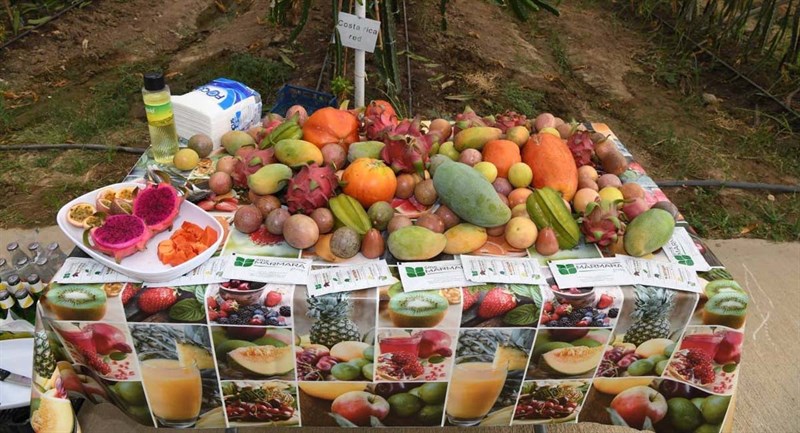 Tarımda Çeşitlilik Sağlayarak Dünya Pazarında Yeni Ürünlerle Yer Bulmalıyız 04