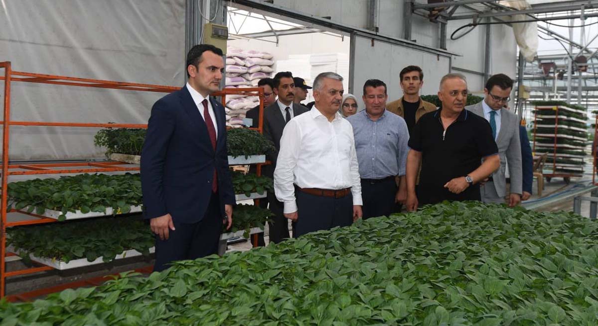 Antalya Fide Üretiminde Tüm Dünyaya Hizmet Ediyor 03