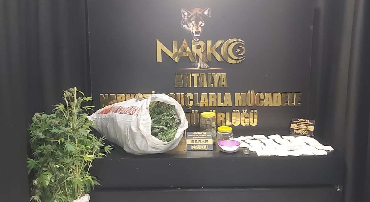 Evlerinde Uyuşturucu Madde Yetiştiren Şahıslar Gözaltına Alındı 01