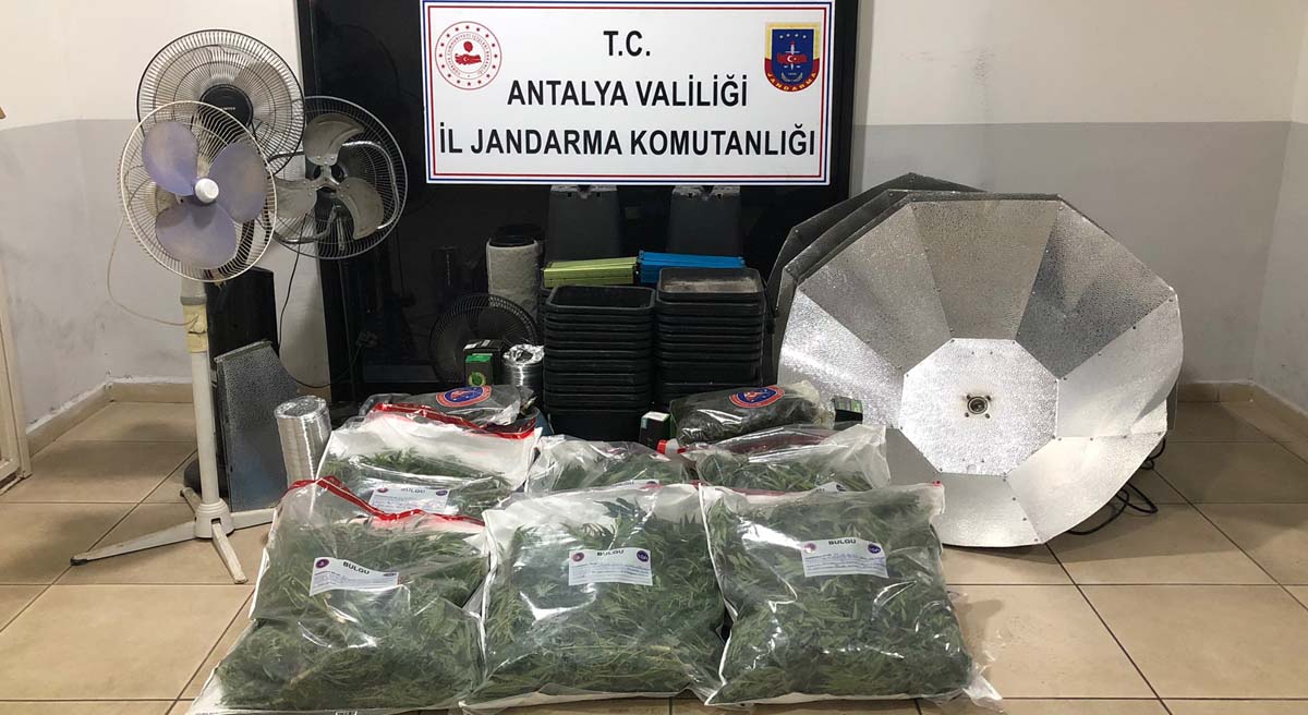 25 Kilo Skunk Ele Geçirildi 01