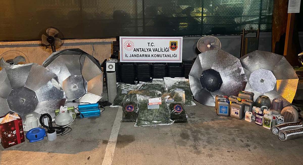 25 Kilo Skunk Ele Geçirildi 02