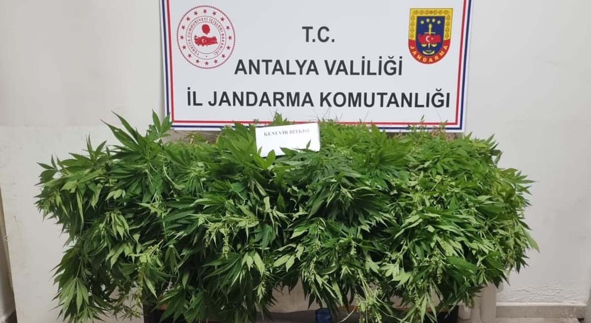 Uyuşturucuyla Mücadeleye Ara Vermeden Devam Ediliyor 01