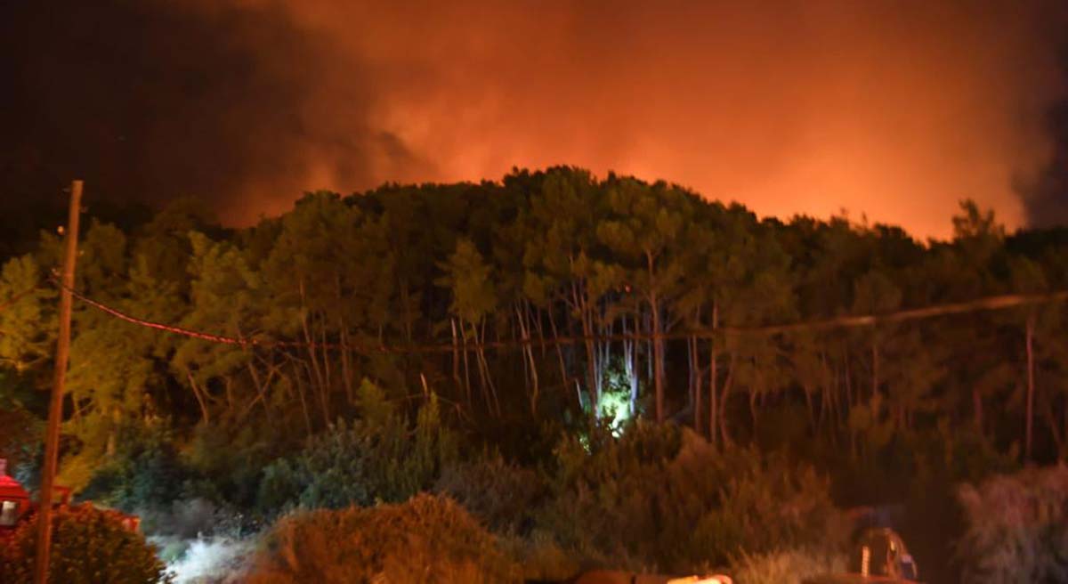 Kemer Yangınını Kontrol Altına Alma Çalışmaları Devam Ediyor 14